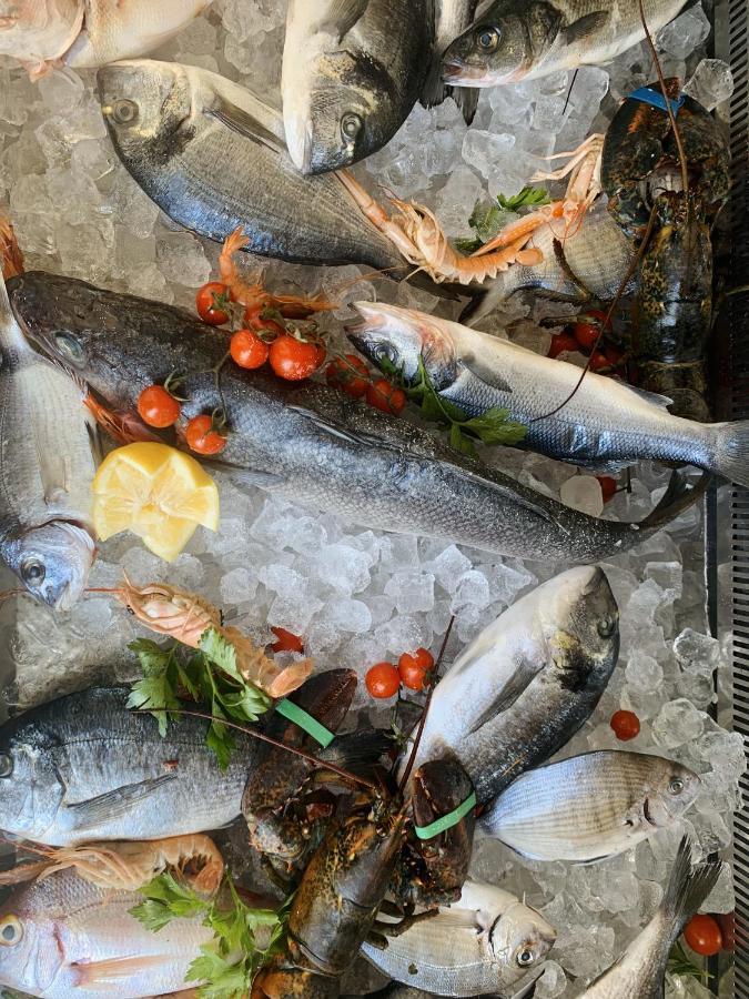 Hotel Mercurio Sul Mare - Fish Restaurant And Private Beach Капо Ватикано Екстериор снимка