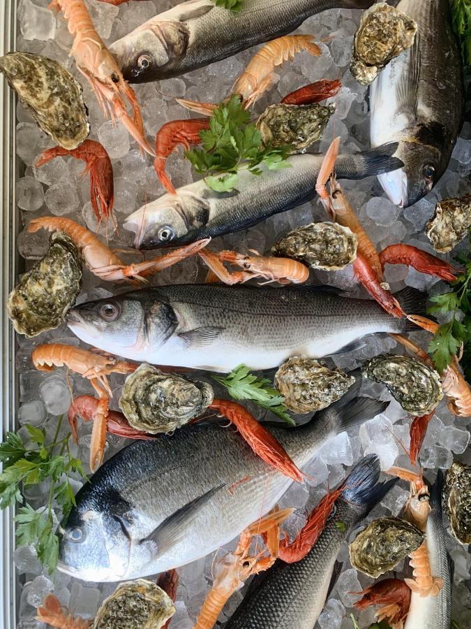 Hotel Mercurio Sul Mare - Fish Restaurant And Private Beach Капо Ватикано Екстериор снимка