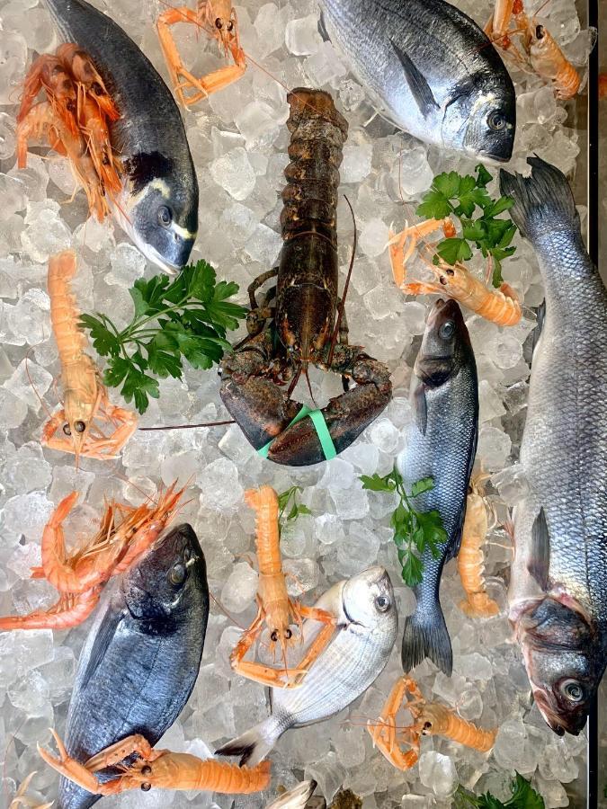 Hotel Mercurio Sul Mare - Fish Restaurant And Private Beach Капо Ватикано Екстериор снимка
